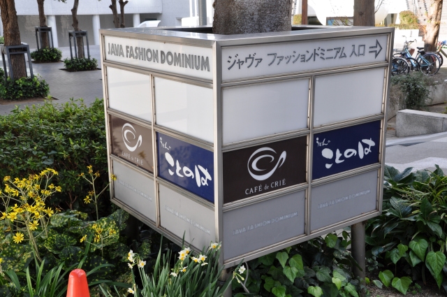 ǥ쥯ȥ